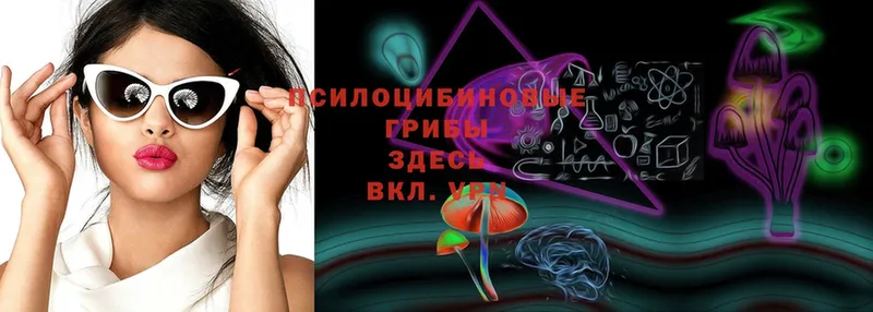 Псилоцибиновые грибы Magic Shrooms  Волосово 